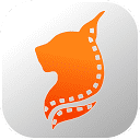 百思派电影网 – 全网VIP点映免费观看